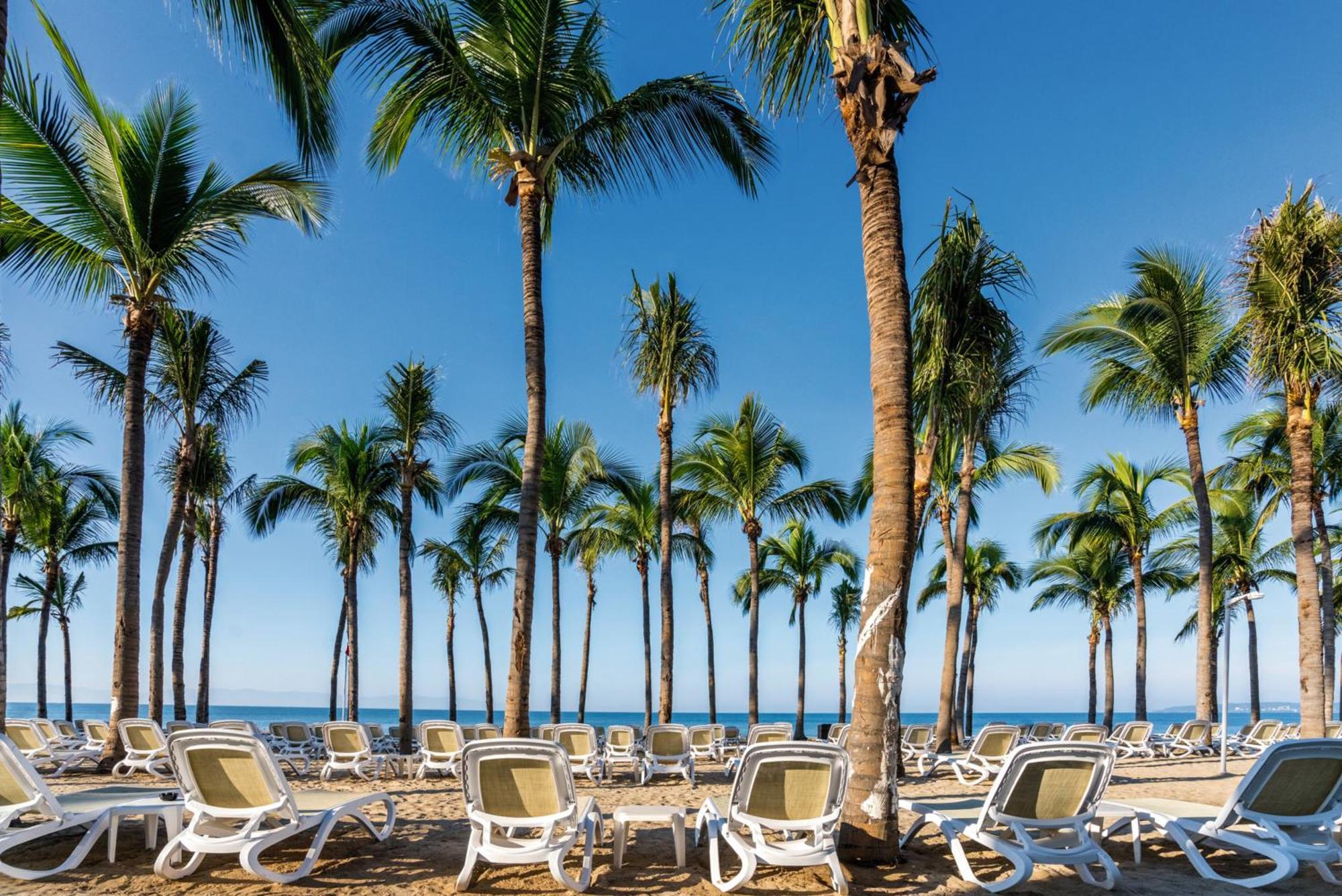נובו ואלארטה Riu Vallarta מראה חיצוני תמונה